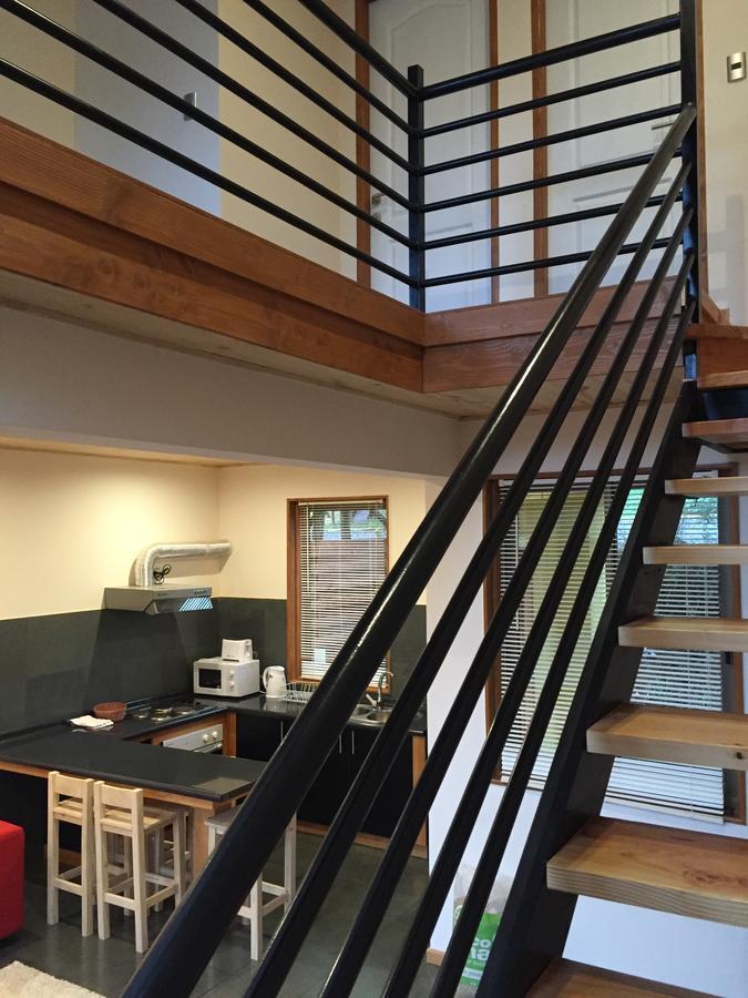 Loft Pucon Aparthotel Eksteriør bilde